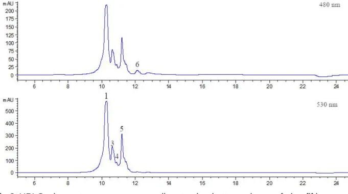 Fig. 10 Chemical structure of indicaxanthin and gomphrenin I. 