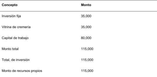 Cuadro 13 Presupuesto de inversiones. 