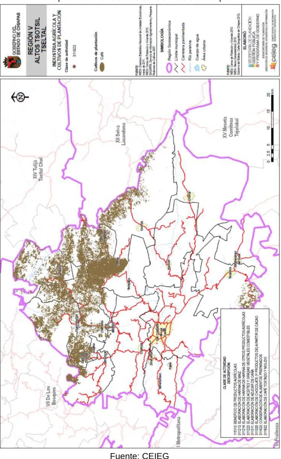 Mapa 1 Cultivos de café en los Altos de Chiapas