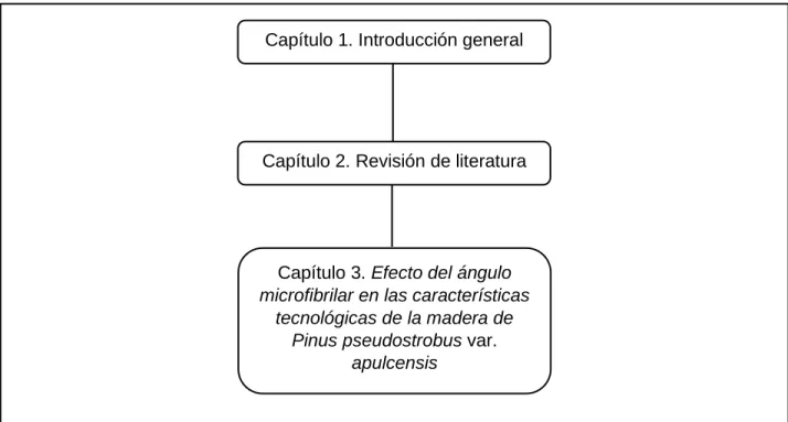 Fig. 1. Estructura del presente documento 