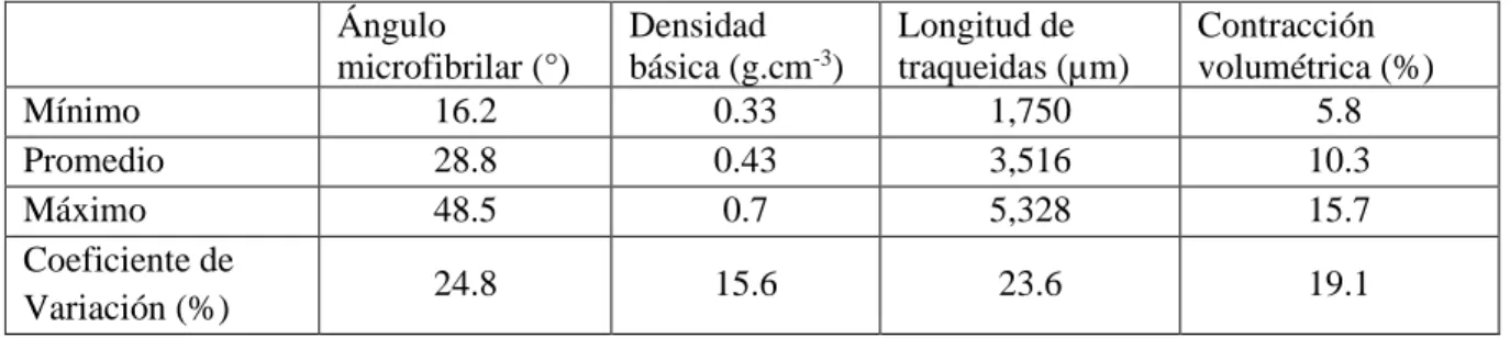 Tabla 1. Estadísticos descriptivos para AMF, DB, LT y CV  Ángulo 