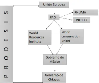 Figura 6. PRODESIS. 