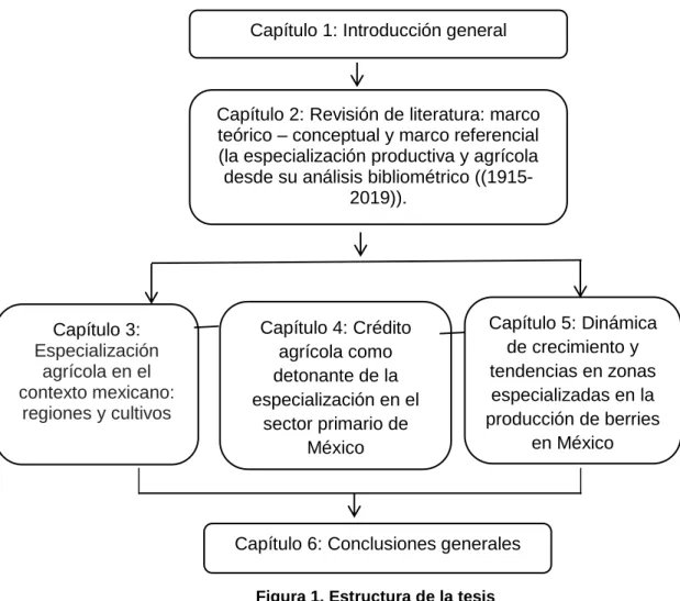 Figura 1. Estructura de la tesis 