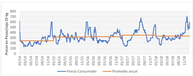 Figura 22.  Precios de jitomate en CEDA de Cuautla, Mor.  