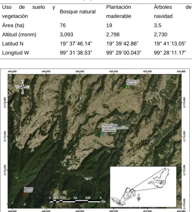 Cuadro 13. Datos de los sistemas. 