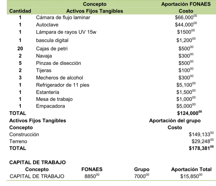 Cuadro 11. Plan de inversiones desglosado para el equipamiento del laboratorio  de micelio