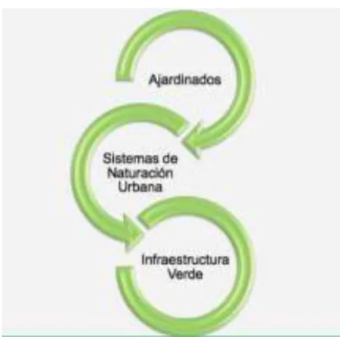 Figura 2. Progresión de los Sistemas de Naturación Urbana 