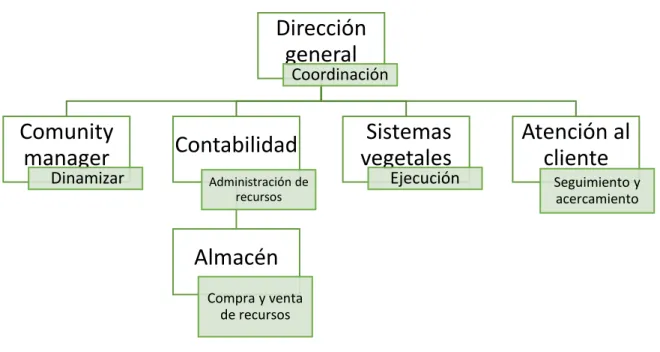 Cuadro 3. Descripción de puestos 