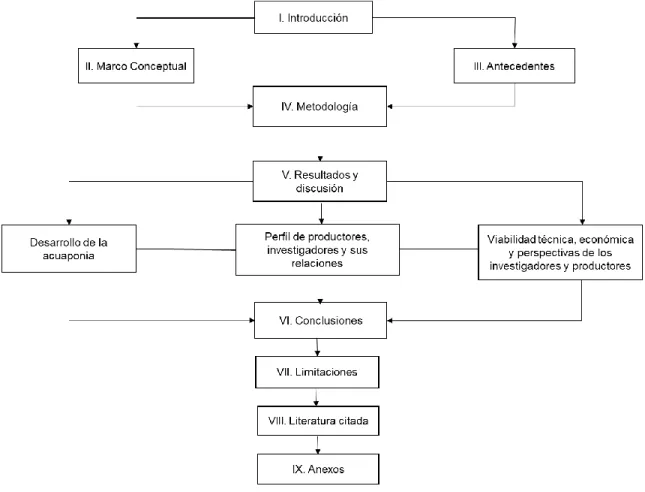 Figura 1. Estructura de la tesis 
