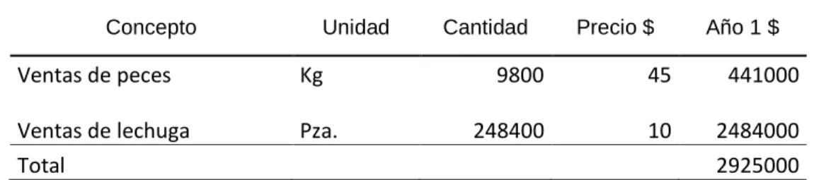 Cuadro 25. Flujo de efectivo de la unidad mínima. 