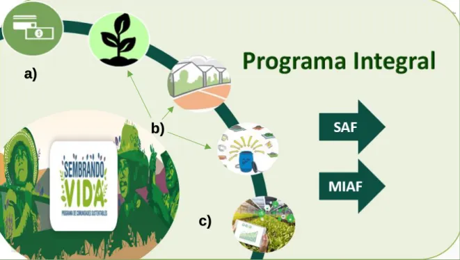 Figura 23. Componentes del Programa Sembrando Vida.                                                              