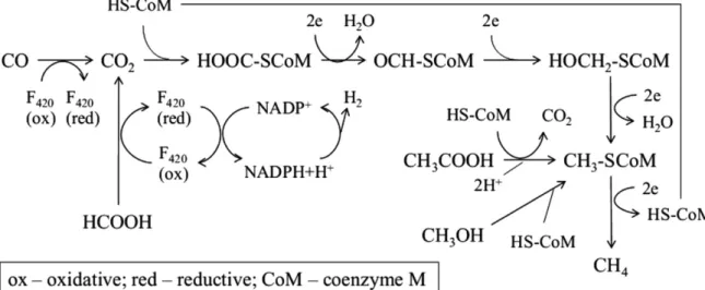 Figure 3. Metabolic process from CO, CO 2 , formate, carbinol and acetate to  methane (de Bok et al., 2004)