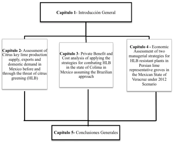 Fig. 1.7. Estructura de la investigación  