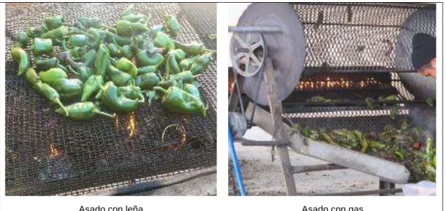 Figura 8. Tipos de asado del chile. 