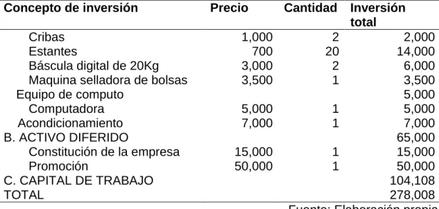 Cuadro 15. Programa de inversiones (pesos). 