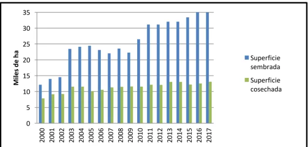 Figura 5. Superficie sembrada y cosechada de piña en el estado de Veracruz, 2000-2017