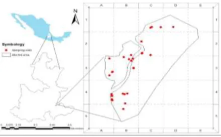 Figure 46 Location map. 