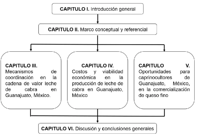 Figura 1. Estructura del documento de titulación. 