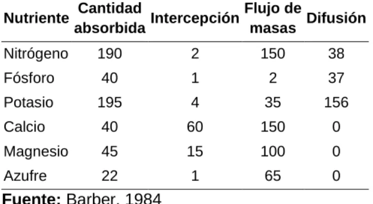 Cuadro  9. Distintos mecanismos de llegada de los nutrientes hasta la cercanía de las  raíces en un cultivo de maíz con un rendimiento de 9,5 tn ha -1 