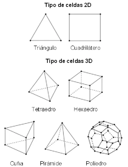 Figura 5. Tipos de celdas. 
