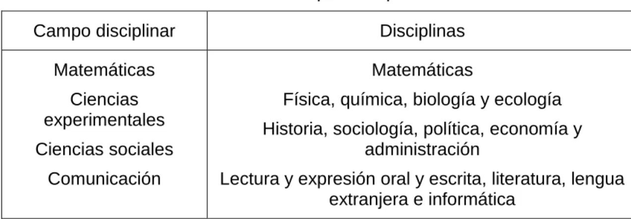 Cuadro 17 Campos disciplinares 