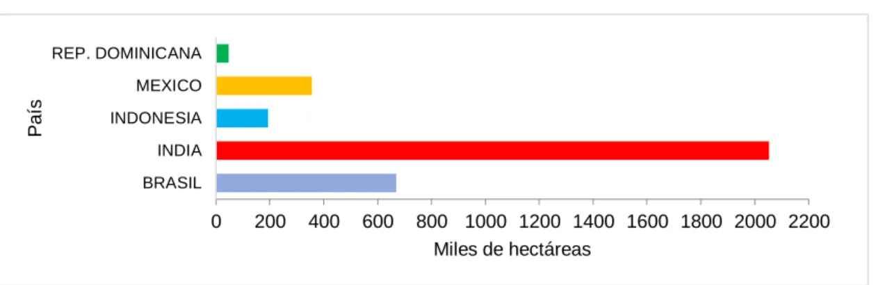 Figura 3. Superficie mundial sembrada. 