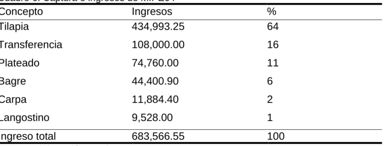 Cuadro 6. Captura e ingresos de MIPE64 