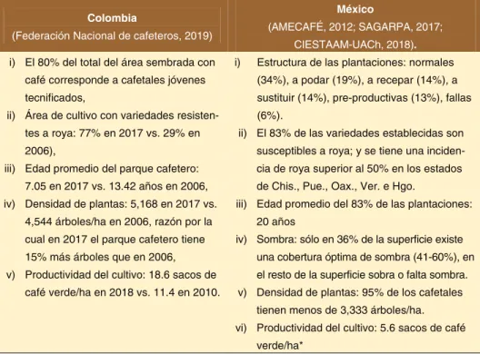 Cuadro 8. Estructura productiva cafetalera comparada 