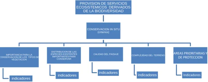 Figura 11 Estructura para la Jerarquía de priorización de las áreas para el  PSA derivados de la conservación de la Biodiversidad 