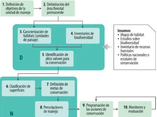 Figura  1.  Proceso  de  elaboración  de  los  programas  de  manejo  forestal,  integrando el componente de conservación de la biodiversidad.