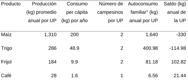 Cuadro 19. Autoconsumo de la población de la región. 