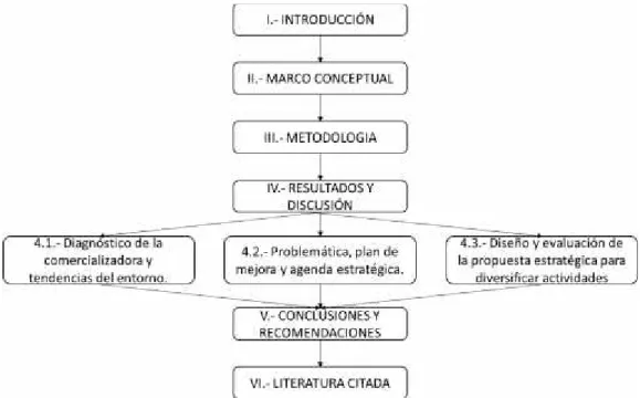 Figura 1.- Estructura del documento de tesis