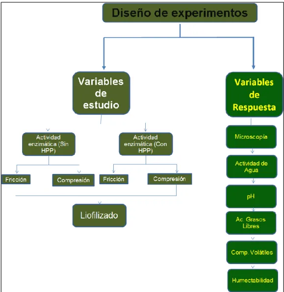 Figura 11. Diseño de experimentos. 