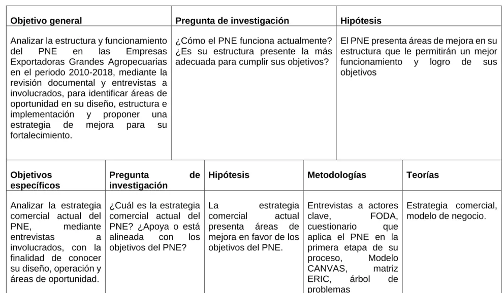 Cuadro 24: Matriz de congruencia para el PNE. 