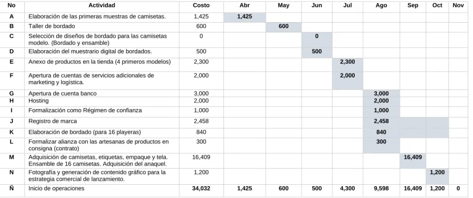 Cuadro 38. Programa de inversiones. 