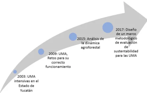 Figura 1. Evolución de los estudios que se han elaborado sobre las UMA. 