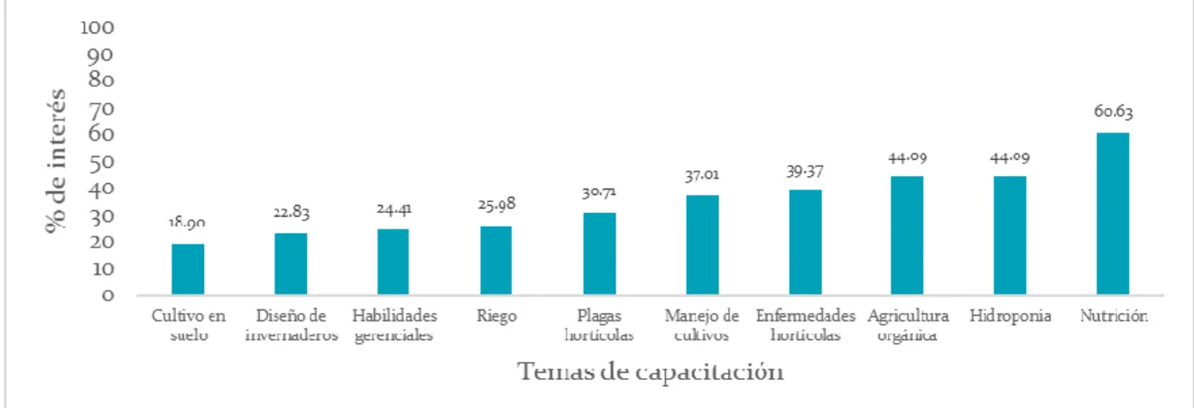 Figura 11. Temas de interés de capacitación en los usuarios 