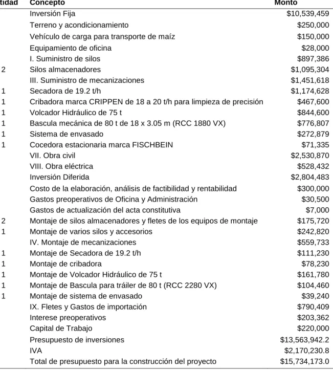 Cuadro 17. Presupuesto de Inversiones 