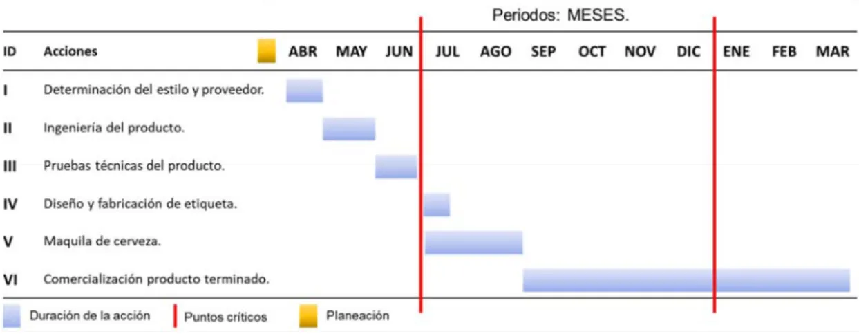 Figura 50. Actividades del proyecto con maquila. 
