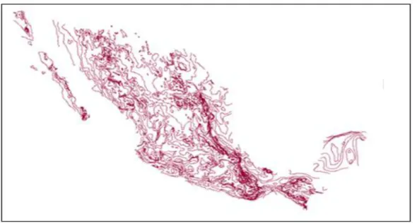 Figura 4. Ejemplo de información shape tipo línea. 