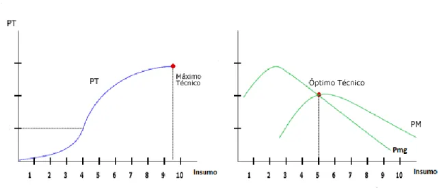 Figura 9. Óptimo técnico 