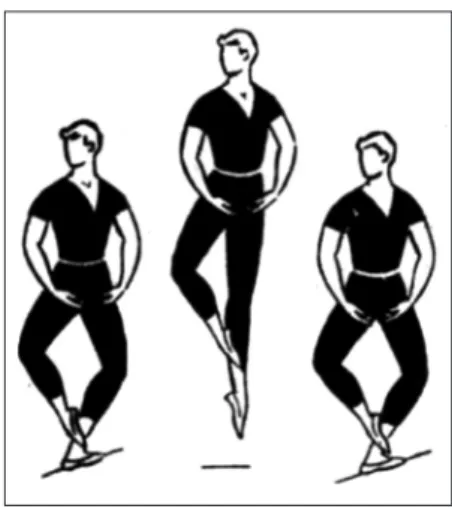 Figura 5 Flex
