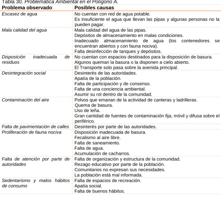 Tabla 30. Problemática Ambiental en el Polígono A. 