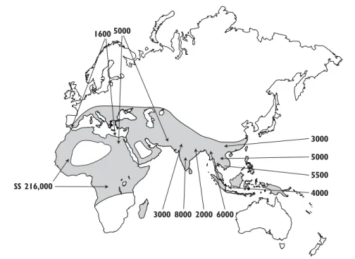 Figure 3.1 The world distribution of the β thalassaemias