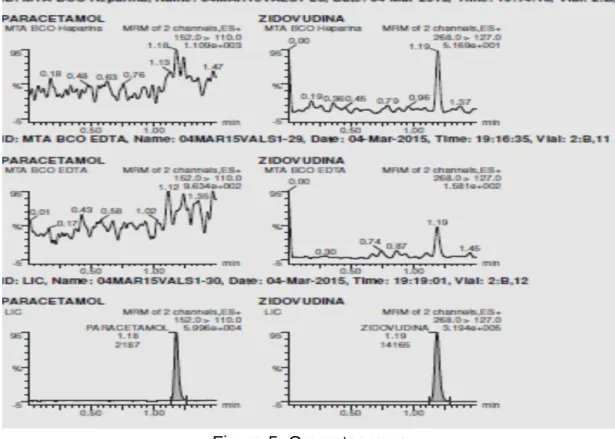 Figura 5  Cromatograma 
