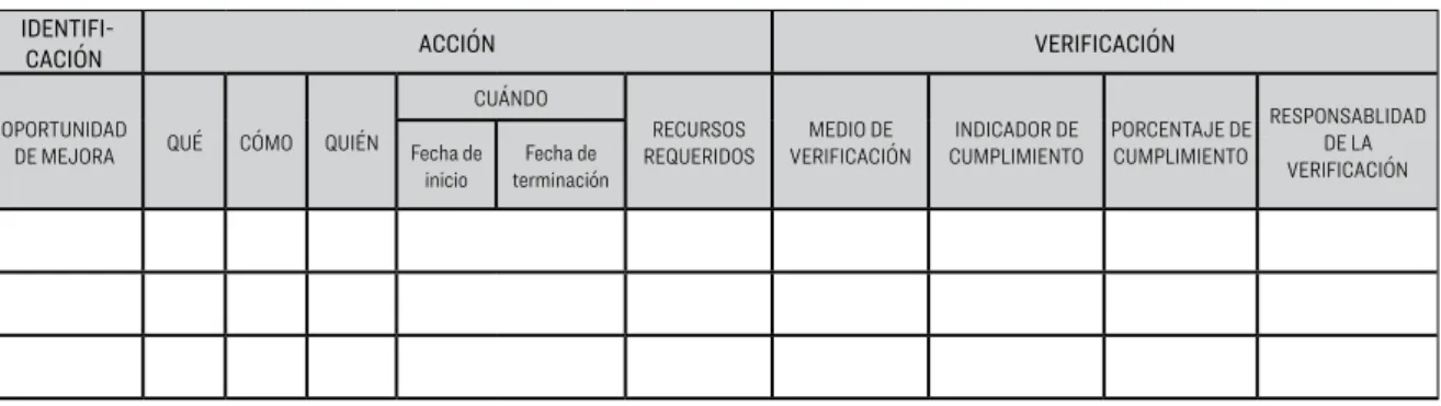 FIGURA 5. PLAN DE MEJORA