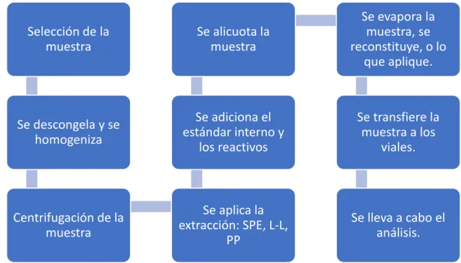 Figura 2.Proceso General de Preparación de Muestras 