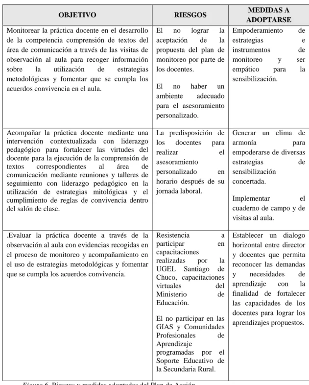 Figura 6. Riesgos y medidas adoptadas del Plan de Acción.