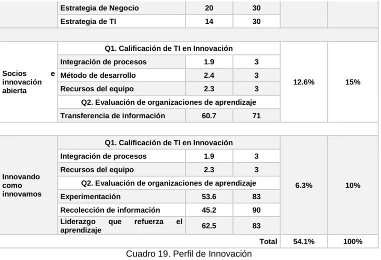 Cuadro 19. Perfil de Innovación 