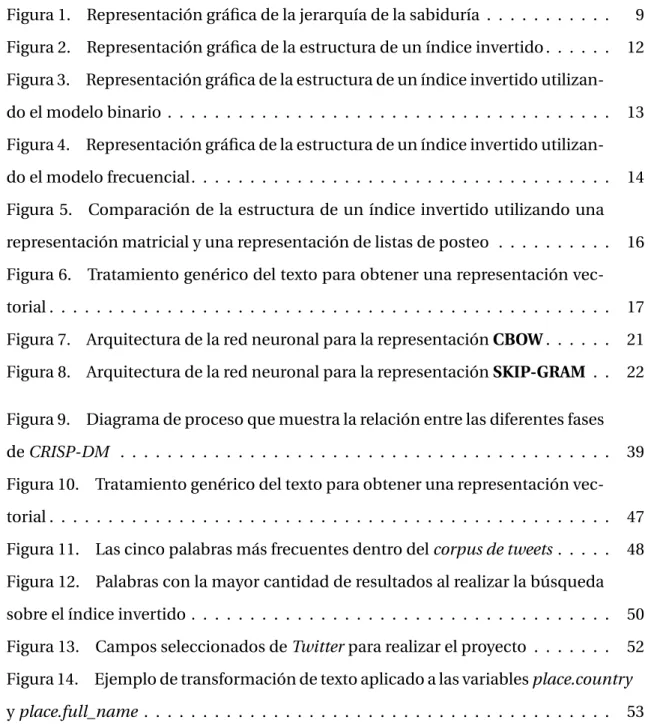 Figura 1. Representación gráfica de la jerarquía de la sabiduría . . . . . . . . . . 